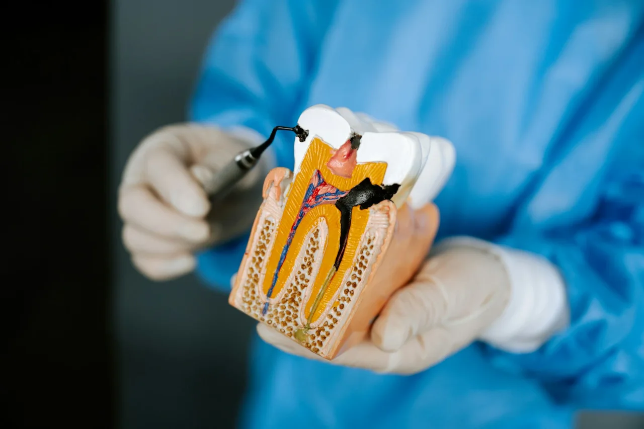 Dr. Alexander Seemann erklärt einer Patientin den Zahnerhalt anhand einer Röntgenaufnahme.